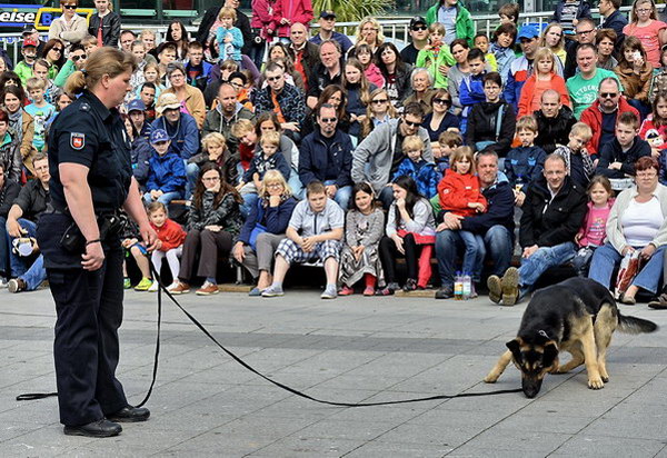 Polizeishow   040.jpg
